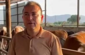 Manisa'da dehşet! Dananın saldırdığı iş insanı öldü