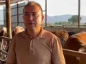 Manisa'da dehşet! Dananın saldırdığı iş insanı öldü