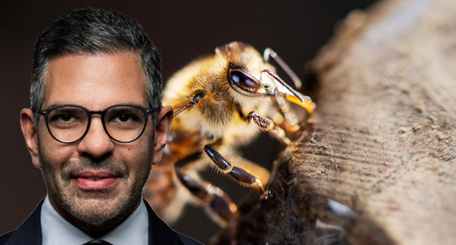 İngiliz Kraliyeti'ni şok eden ölüm: Her şey bir anda oldu!