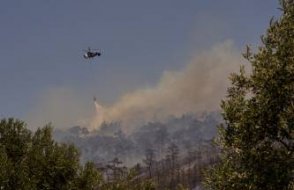 İzmir Foça’daki orman yangını kontrol altına alındı: 4 kişi gözaltına alındı