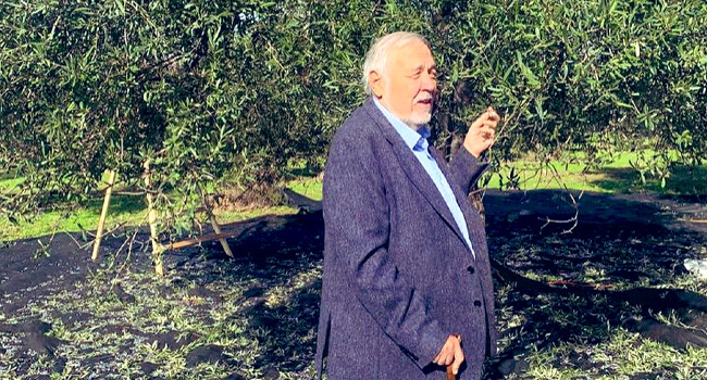 İlber Hoca'dan iktidara: 'Nasıl bu kadar küstah davranırsın?'