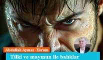 Tilki ve maymun ile balıklar