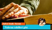 Nobran cahilleri gibi
