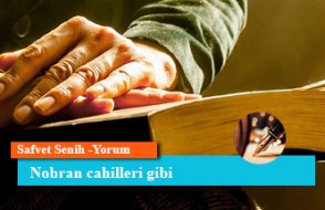 Nobran cahilleri gibi