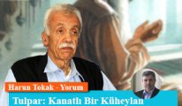 Tulpar: Kanatlı Bir Küheylan