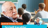 Sevimli kaçaklar