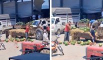 'protesto için karpuzları yere atan çiftçilere en ağır ceza verilecek!'