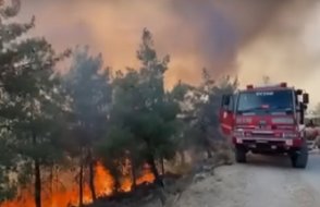 Sakarya'dan sonra Bilecik de alev alev yanıyor