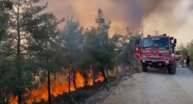 Sakarya'dan sonra Bilecik de alev alev yanıyor