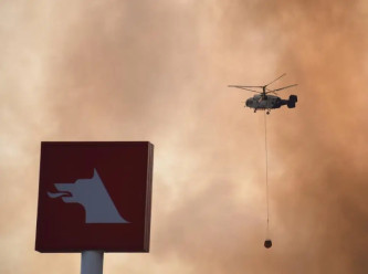 Sakarya, Bilecik, İzmir, Karabük ve Eskişehir'de orman yangınları sürüyor