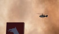 Sakarya, Bilecik, İzmir, Karabük ve Eskişehir'de orman yangınları sürüyor