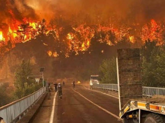 Bursa’daki orman yangınlarında 4 Kişi Hayatını Kaybetti