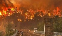 Bursa’daki orman yangınlarında 4 Kişi Hayatını Kaybetti