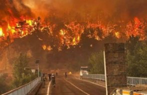 Bursa’daki orman yangınlarında 4 Kişi Hayatını Kaybetti
