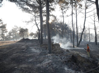 Çanakkale’deki yangınlar kontrol altına alındı