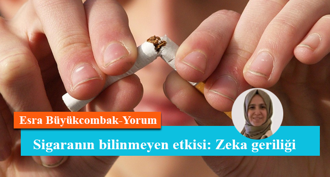 Sigaranın bilinmeyen etkisi: Zeka geriliği