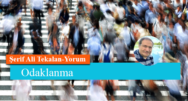 Odaklanma