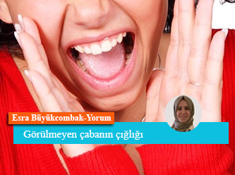 Görülmeyen çabanın çığlığı