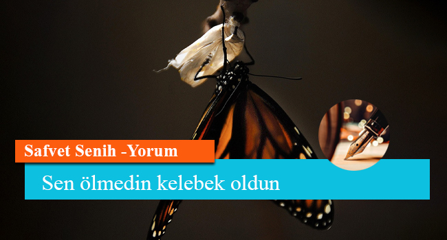 Sen ölmedin kelebek oldun