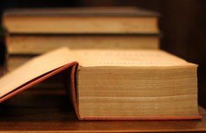 2025’in kelimesini açıkladı: 'Parasosyal' ne demek?