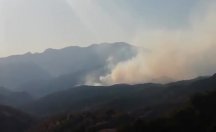 Tunceli’de 11 gündür yanan ormana neden havadan müdahale edilmiyor?