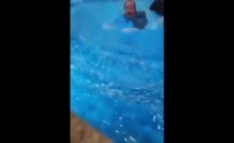 Mustafa Keser havuza düştü
