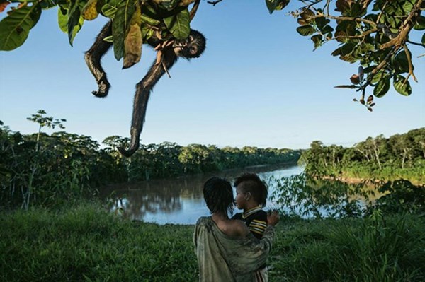 National Geographic 2016'nın en iyi karelerini açıkladı